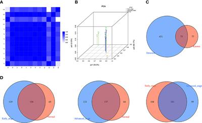 Plasma tRF-1:29-Pro-AGG-1-M6 and tRF-55:76-Tyr-GTA-1-M2 as novel diagnostic biomarkers for lung adenocarcinoma
